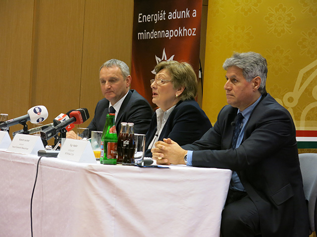 1. kép